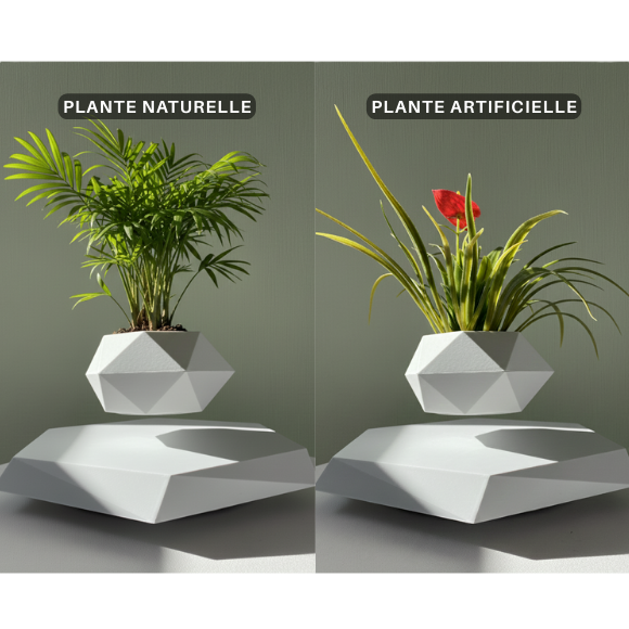 Jardin Suspendu™ – Plante offerte