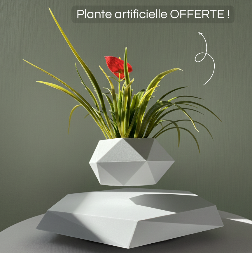 Jardin Suspendu™ – Plante offerte