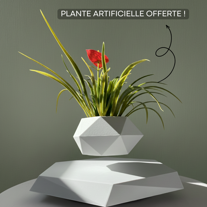 Jardin Suspendu™ – Plante offerte