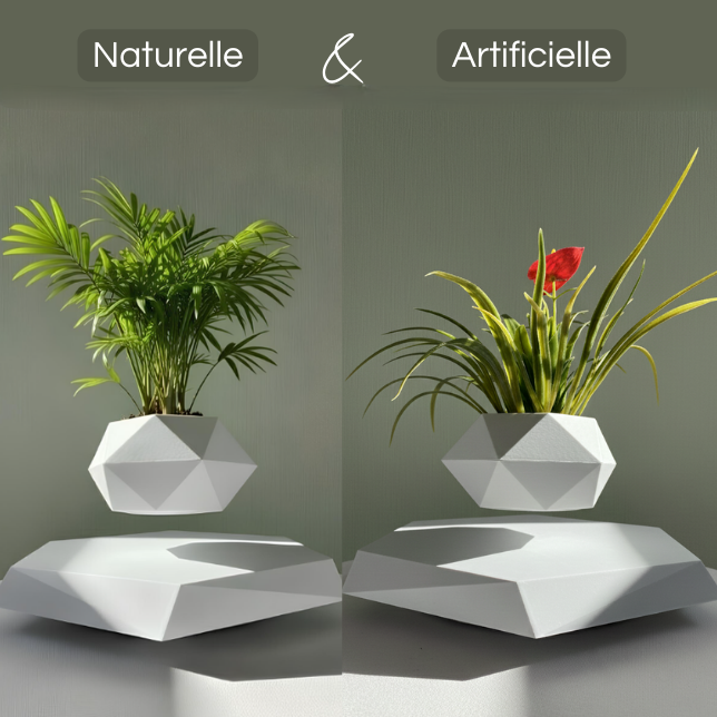 Jardin Suspendu™ – Plante offerte