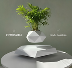 Jardin Suspendu™ – Plante offerte