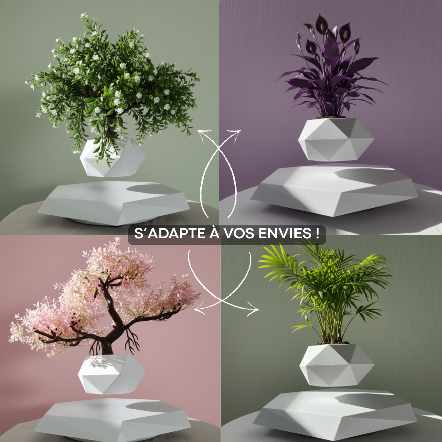 Jardin Suspendu™ – Plante offerte